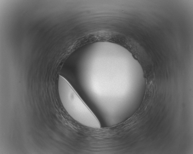 X0000081400772200701111232