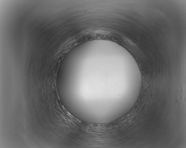 X0000081400774200701111232