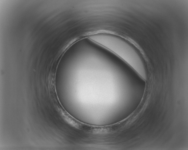 X0000081400793200701111232