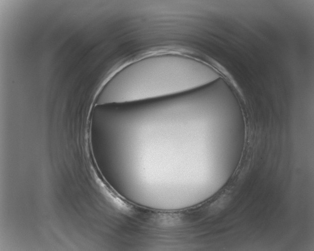 X0000081400802200701111231