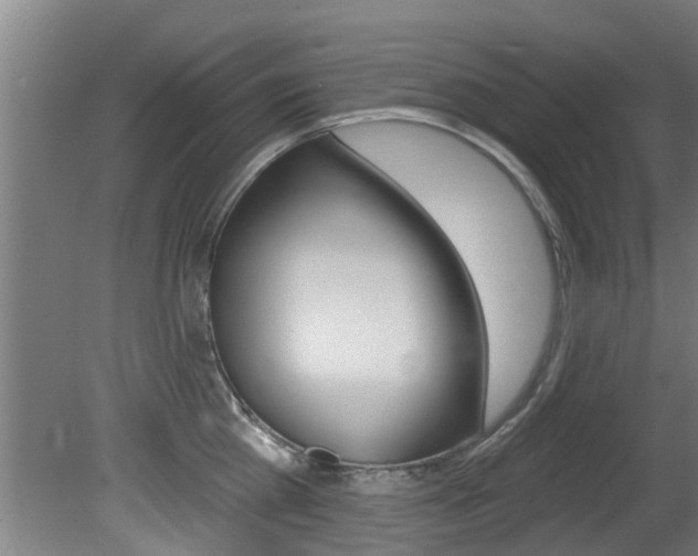 X0000081400809200701111231