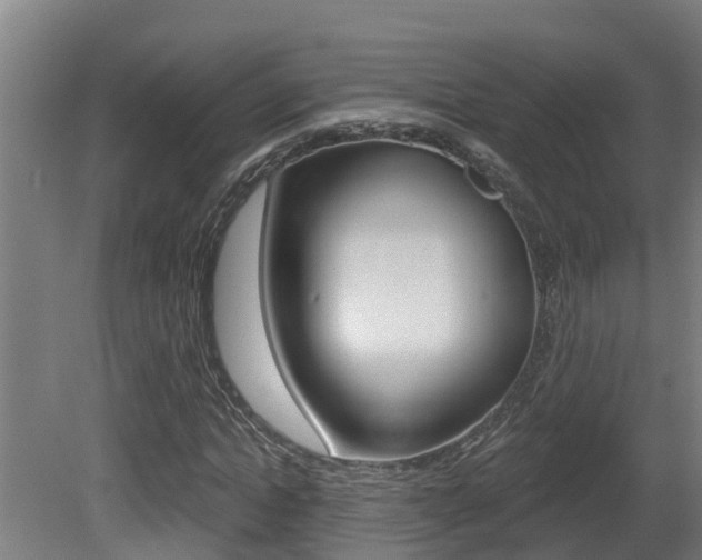 X0000081400822200701111230