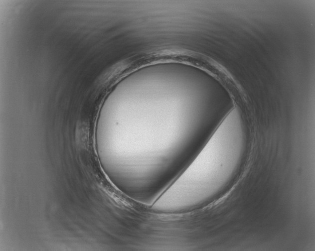 X0000081400825200701111230