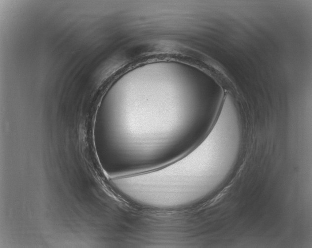 X0000081400826200701111231
