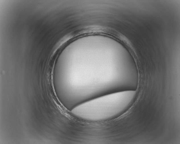 X0000081400827200701111231