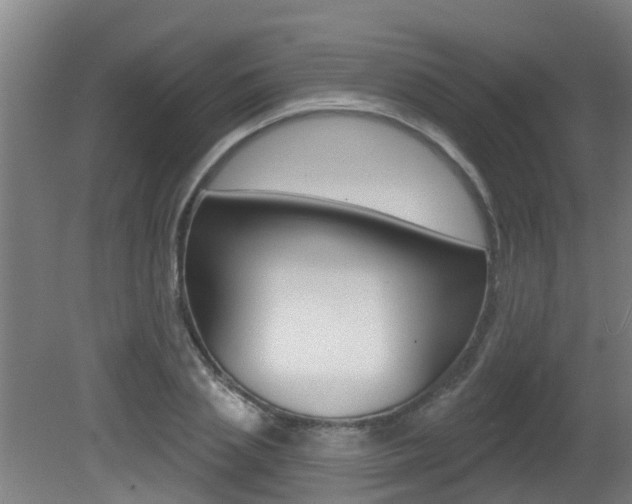 X0000081400837200701111231