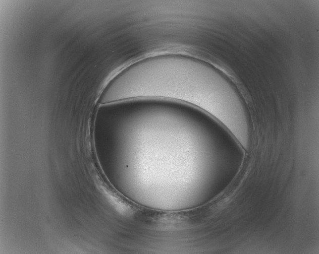 X0000081400842200701111231