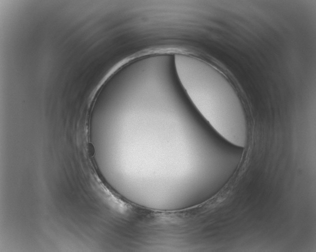 X0000081400852200701111231