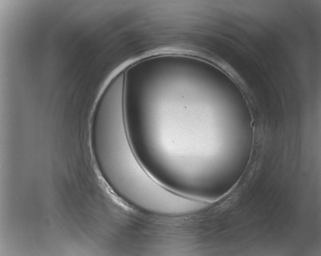 X0000081400854200701111231
