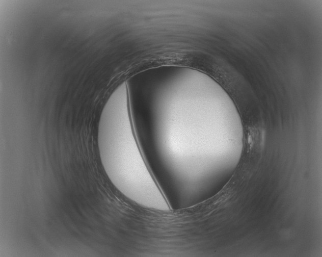X0000081400867200701111230