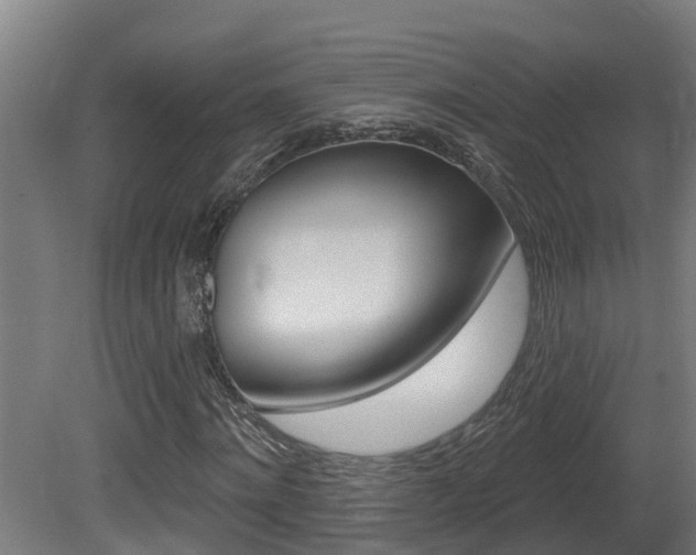 X0000081400868200701111230