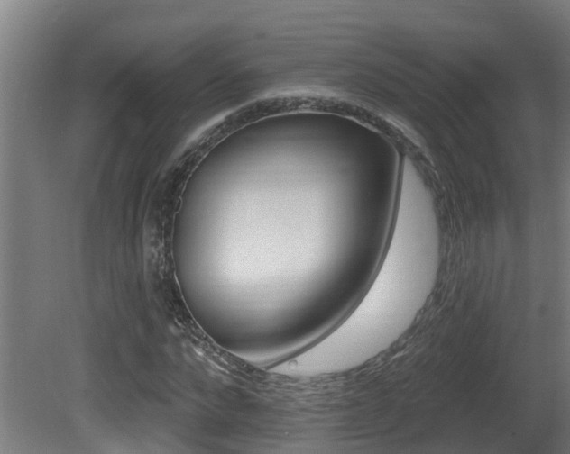 X0000081400872200701111230
