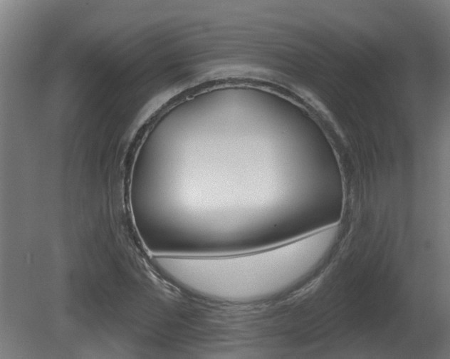 X0000081400877200701111230