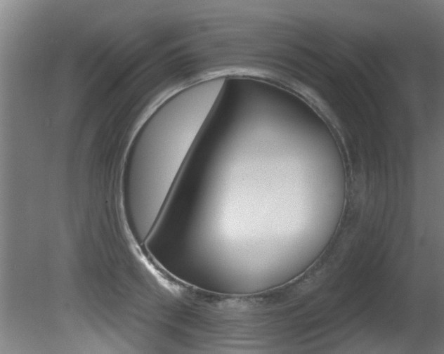 X0000081400898200701111230