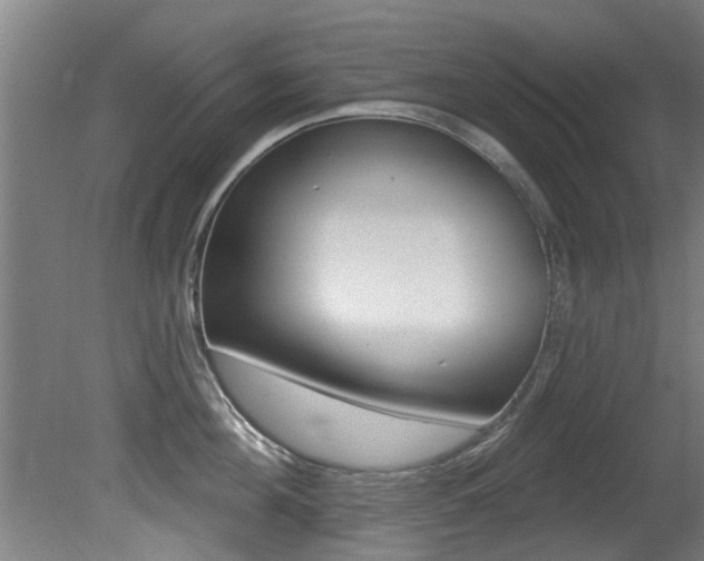 X0000081400908200701111230