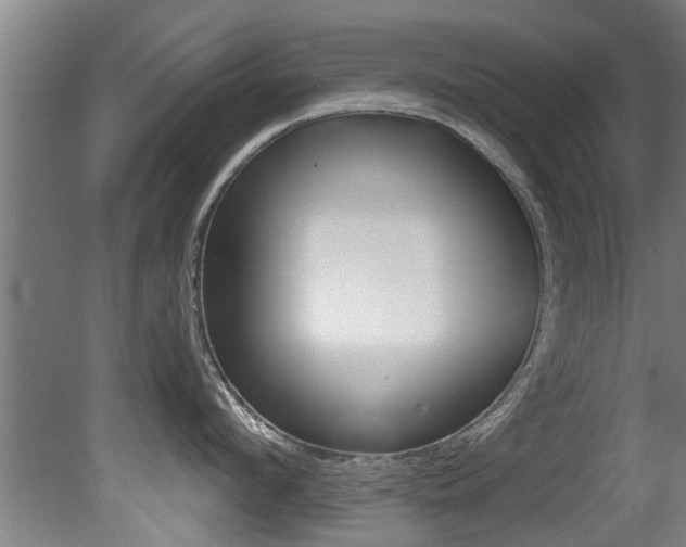 X0000081400912200701111229