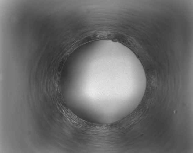 X0000081400914200701111229