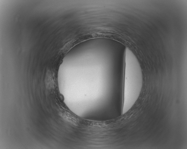 X0000081400915200701111229
