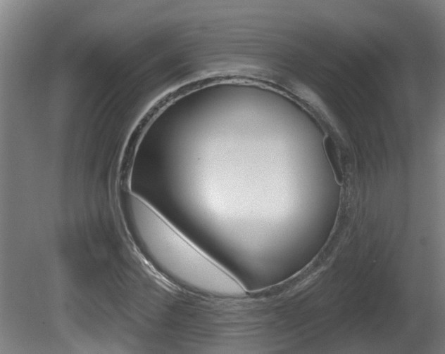 X0000081400924200701111229