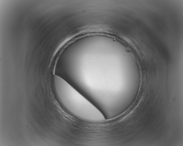 X0000081400925200701111229