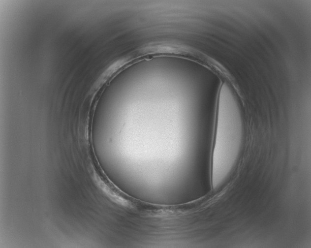X0000081400938200701111229