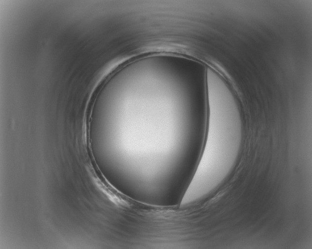 X0000081400940200701111229