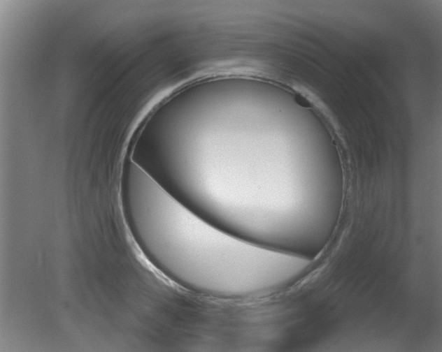X0000081400941200701111229