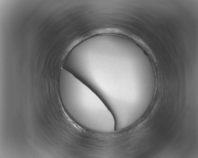 X0000081400945200701111229