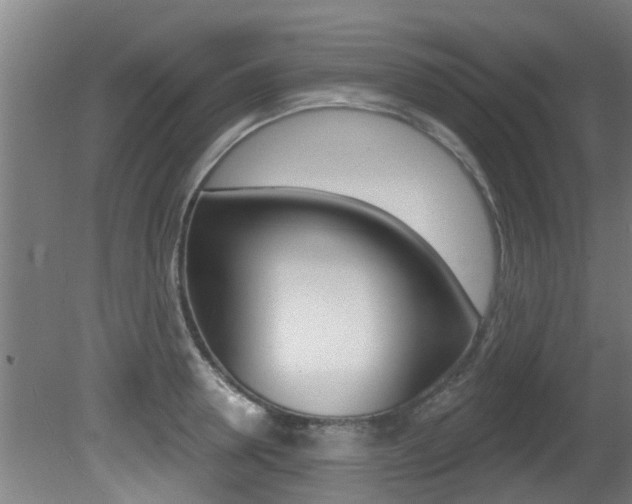 X0000081400946200701111229