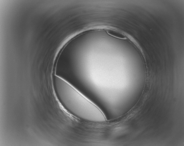 X0000081400951200701111229
