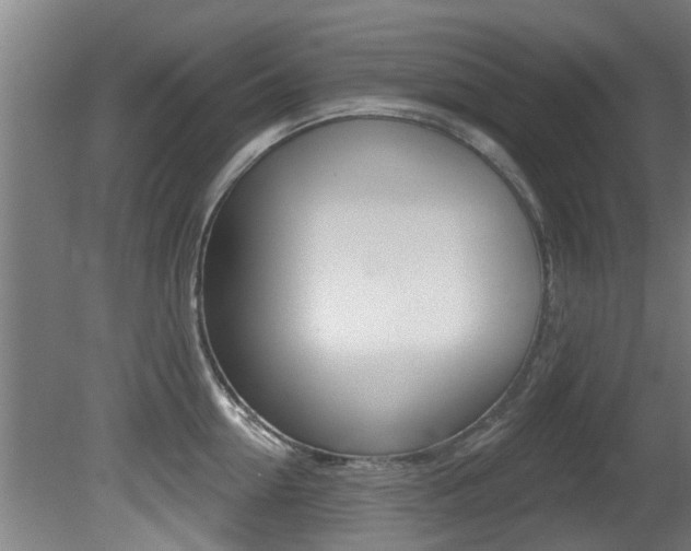 X0000081400954200701111229
