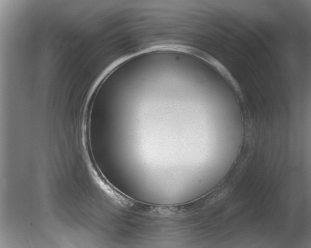 X0000081400955200701111229