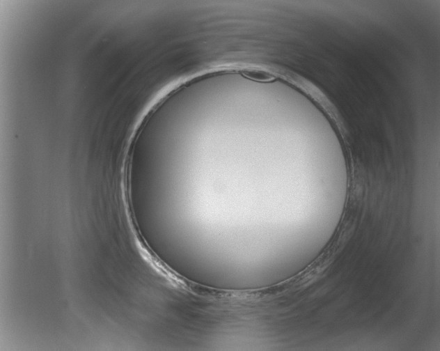 X0000081400958200701111229