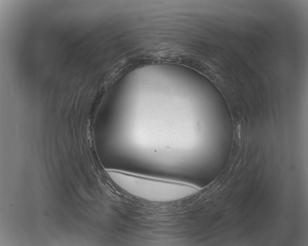 X0000081400963200701111229