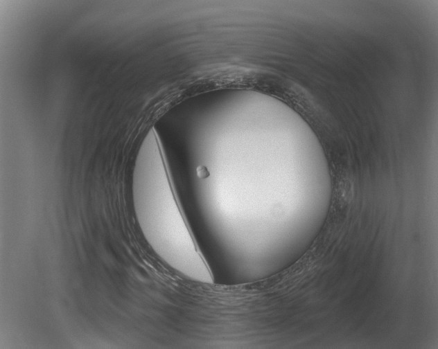 X0000081400964200701111229