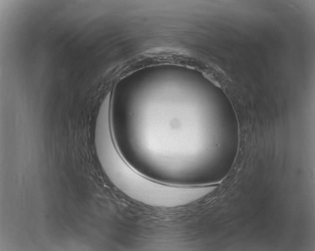 X0000081400965200701111229
