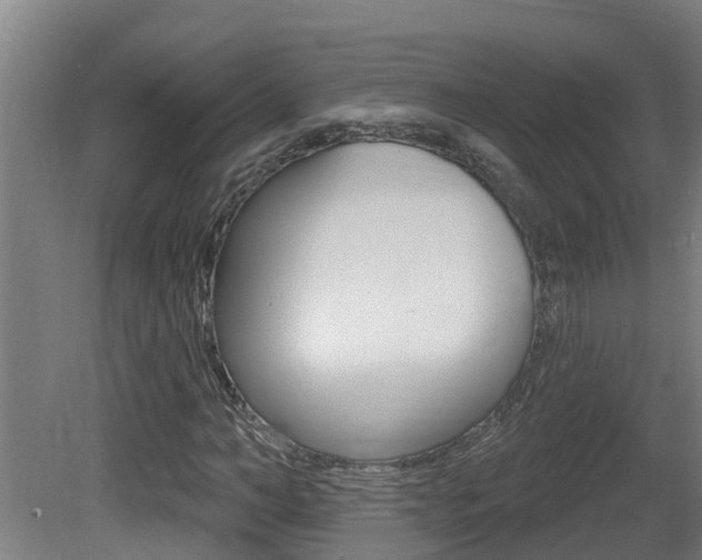 X0000081400966200701111229