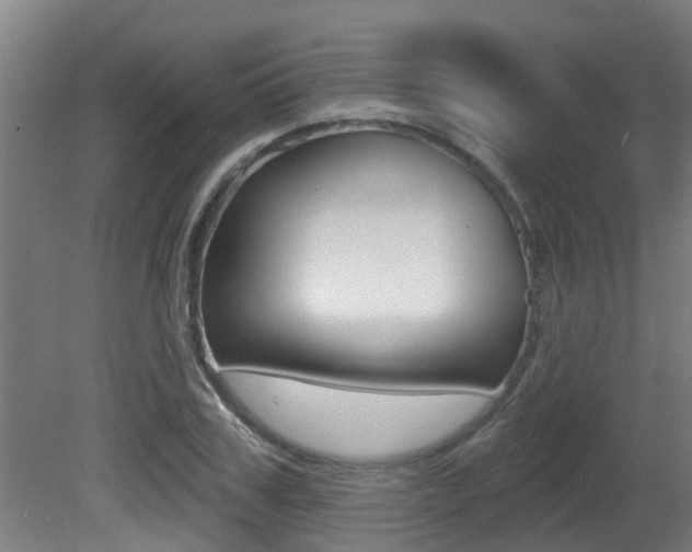 X0000081400979200701111228