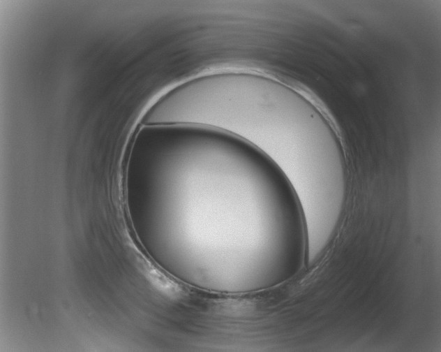 X0000081400996200701111228