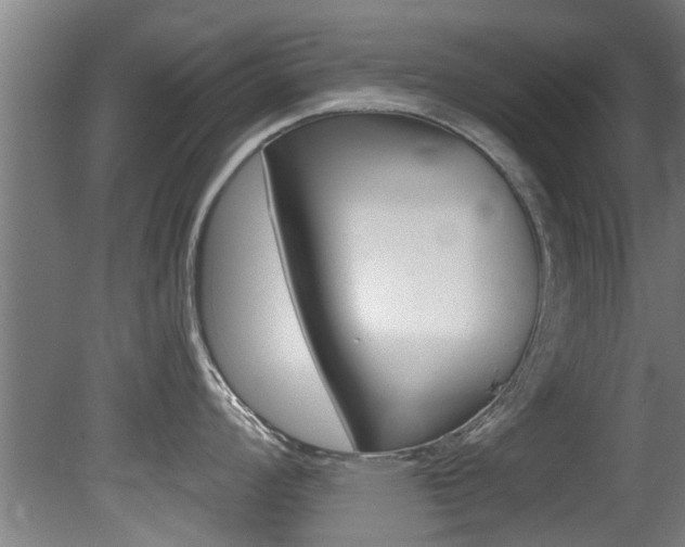 X0000081401008200701111228