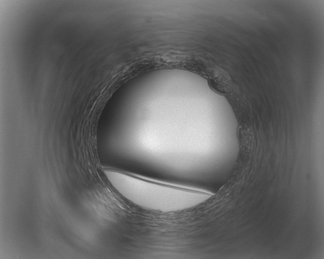 X0000081401009200701111227