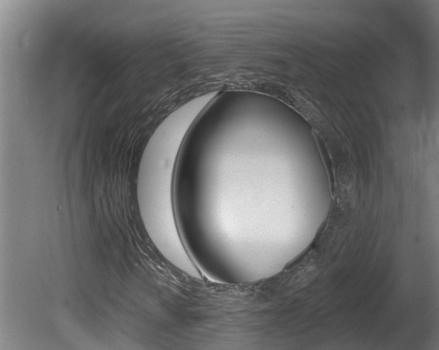 X0000081401010200701111227