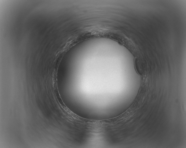 X0000081401012200701111227