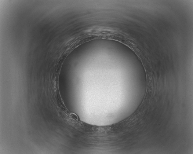 X0000081401013200701111227