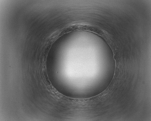 X0000081401014200701111227