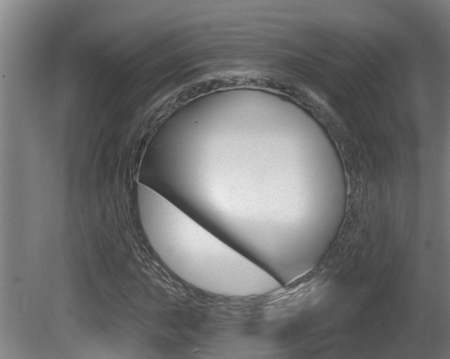 X0000081401015200701111227