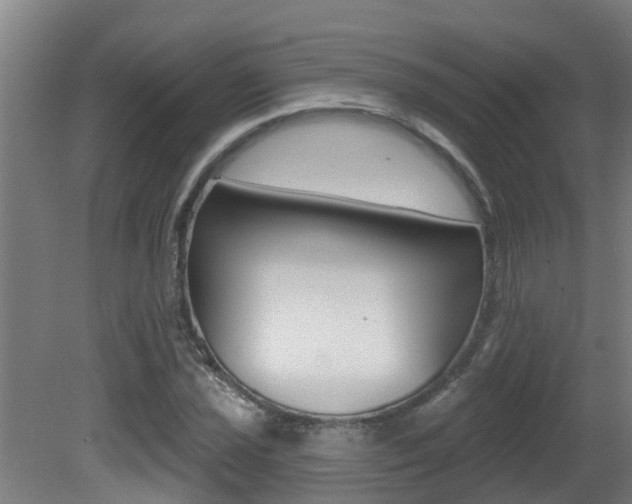 X0000081401021200701111227