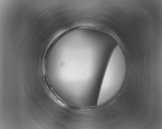 X0000081401036200701111227