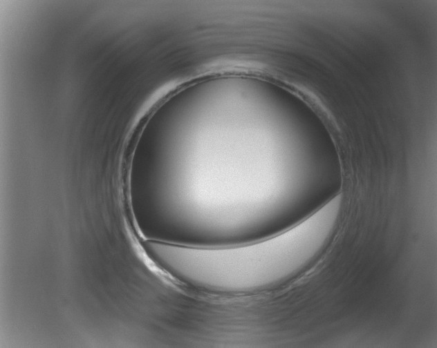 X0000081401038200701111228