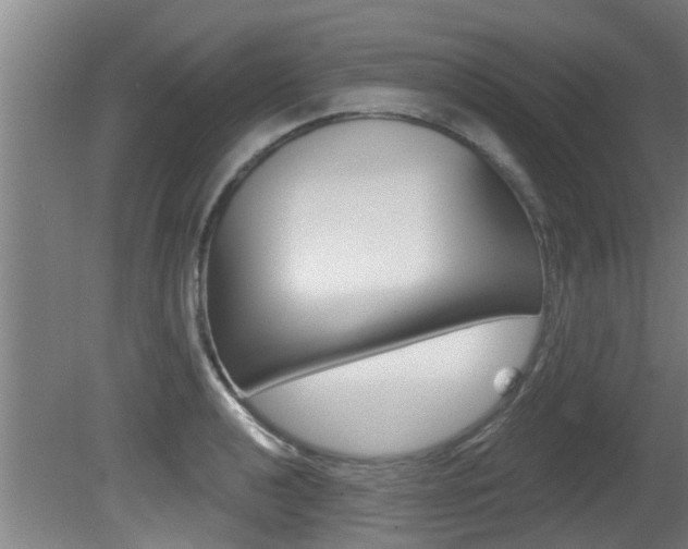 X0000081401040200701111228